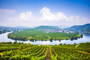 Mosel river with beautiful landscape