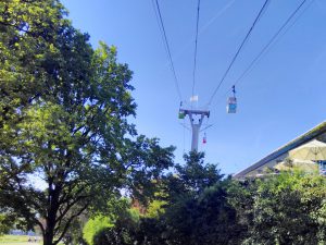 Cable cars going up into a blue sky over the trees of the Rheinpark