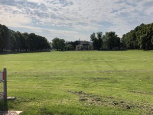 View across the green lawn of Hofgarten in Bonn