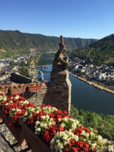 View of the Rhine from Cochem Castle with flowers and a statue in the foreground