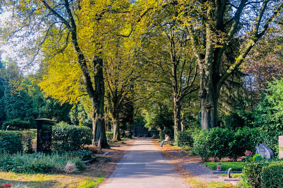 Hidden Gems & Secret Spots in Cologne You Should Visit Art of Touring