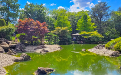 Everything You Need To Know About Japanese Culture & History In Düsseldorf